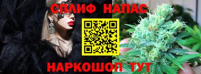 Альфа ПВП Новодвинск