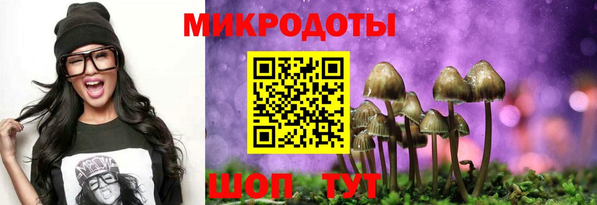 Тольятти  Псилоцибиновые грибы прущие грибы  Вход с VPN 