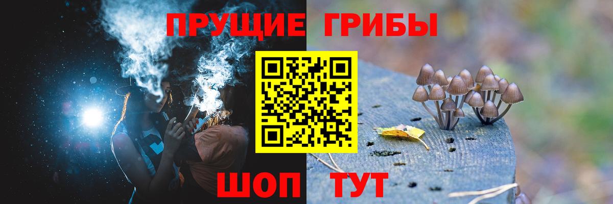 Галлюциногенные грибы Psilocybine cubensis Тольятти